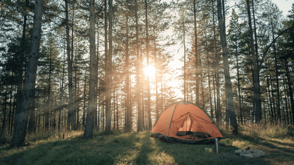 camping tent in the woods